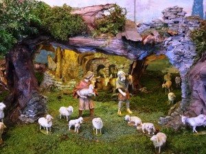 stall-vor-geburt-007